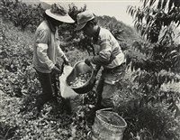 藏品(邱德雲裝裱相紙:汗流脈絡等系列21)的圖片