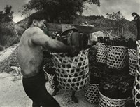 藏品(邱德雲裝裱相紙:汗流脈絡等系列25)的圖片