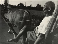 藏品(邱德雲裝裱相紙:汗流脈絡等系列40)的圖片