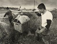 藏品(邱德雲裝裱相紙:汗流脈絡等系列46)的圖片