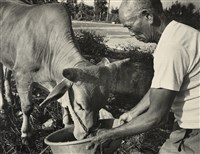 藏品(邱德雲裝裱相紙:汗流脈絡等系列49)的圖片