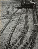 藏品(邱德雲裝裱相紙:汗流脈絡等系列51)的圖片