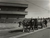 藏品(邱德雲裝裱相紙:汗流脈絡等系列52)的圖片