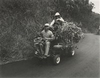 藏品(邱德雲裝裱相紙:汗流脈絡等系列62)的圖片