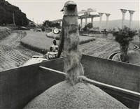 藏品(邱德雲裝裱相紙:汗流脈絡等系列66)的圖片