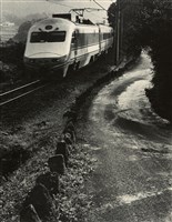 藏品(邱德雲裝裱相紙:汗流脈絡等系列75)的圖片