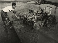 藏品(邱德雲裝裱相紙:汗流脈絡等系列79)的圖片