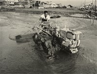 藏品(邱德雲裝裱相紙:汗流脈絡等系列80)的圖片