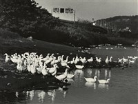 藏品(邱德雲裝裱相紙:汗流脈絡等系列84)的圖片