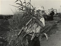 藏品(邱德雲裝裱相紙:汗流脈絡等系列85)的圖片