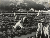 藏品(邱德雲裝裱相紙:汗流脈絡等系列87)的圖片