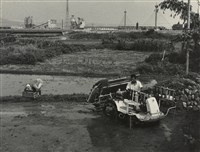 藏品(邱德雲裝裱相紙:汗流脈絡等系列90)的圖片