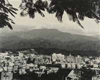 藏品(邱德雲裝裱相紙:汗流脈絡等系列93)的圖片