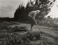 藏品(邱德雲裝裱相紙:汗流脈絡等系列96)的圖片