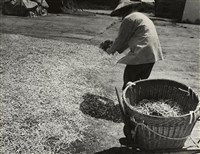 藏品(邱德雲裝裱相紙:汗流脈絡等系列115)的圖片