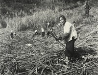 藏品(邱德雲裝裱相紙:汗流脈絡等系列129)的圖片