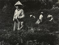 藏品(邱德雲裝裱相紙:汗流脈絡等系列134)的圖片