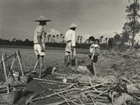 藏品(邱德雲裝裱相紙:汗流脈絡等系列147)的圖片