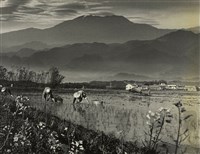 藏品(邱德雲裝裱相紙:汗流脈絡等系列153)的圖片