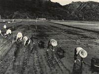 藏品(邱德雲裝裱相紙:汗流脈絡等系列155)的圖片