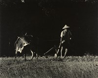 藏品(邱德雲裝裱相紙:汗流脈絡等系列157)的圖片