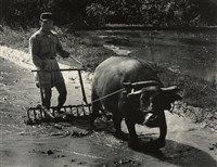 藏品(邱德雲裝裱相紙:汗流脈絡等系列158)的圖片