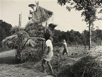 藏品(邱德雲裝裱相紙:汗流脈絡等系列167)的圖片
