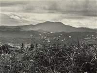 藏品(邱德雲裝裱相紙:汗流脈絡等系列170)的圖片