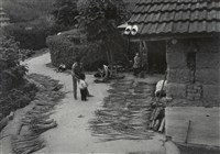 藏品(邱德雲裝裱相紙:汗流脈絡等系列172)的圖片