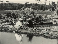 藏品(邱德雲裝裱相紙:汗流脈絡等系列174)的圖片