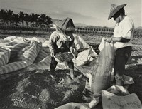 藏品(邱德雲裝裱相紙:汗流脈絡等系列182)的圖片