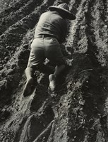 藏品(邱德雲裝裱相紙:汗流脈絡等系列191)的圖片