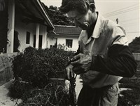 藏品(邱德雲裝裱相紙:汗流脈絡等系列195)的圖片