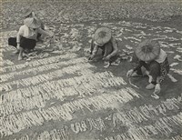 藏品(邱德雲裝裱相紙:汗流脈絡等系列199)的圖片