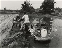 藏品(邱德雲裝裱相紙:汗流脈絡等系列211)的圖片