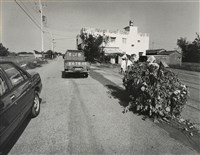 藏品(邱德雲裝裱相紙:汗流脈絡等系列213)的圖片