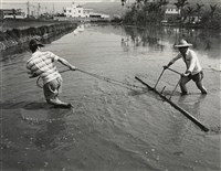 藏品(邱德雲裝裱相紙:汗流脈絡等系列215)的圖片