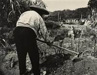 藏品(邱德雲裝裱相紙:汗流脈絡等系列226)的圖片