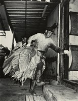 藏品(邱德雲裝裱相紙:汗流脈絡等系列228)的圖片