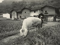 藏品(邱德雲裝裱相紙:汗流脈絡等系列229)的圖片