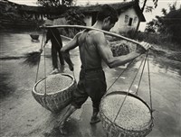 藏品(邱德雲裝裱相紙:汗流脈絡等系列238)的圖片