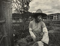 藏品(邱德雲裝裱相紙:汗流脈絡等系列240)的圖片