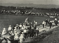 藏品(邱德雲裝裱相紙:汗流脈絡等系列243)的圖片