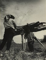 藏品(邱德雲裝裱相紙:汗流脈絡等系列244)的圖片