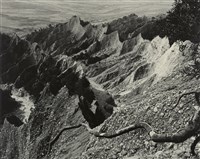 藏品(邱德雲裝裱相紙:汗流脈絡等系列257)的圖片