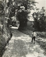 藏品(邱德雲裝裱相紙:汗流脈絡等系列258)的圖片