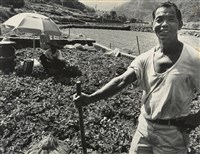 藏品(邱德雲裝裱相紙:汗流脈絡等系列2)的圖片