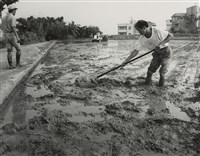 藏品(邱德雲裝裱相紙:汗流脈絡等系列264)的圖片