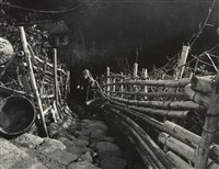 藏品(邱德雲裝裱相紙:汗流脈絡等系列274)的圖片