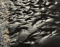 藏品(邱德雲裝裱相紙:汗流脈絡等系列280)的圖片